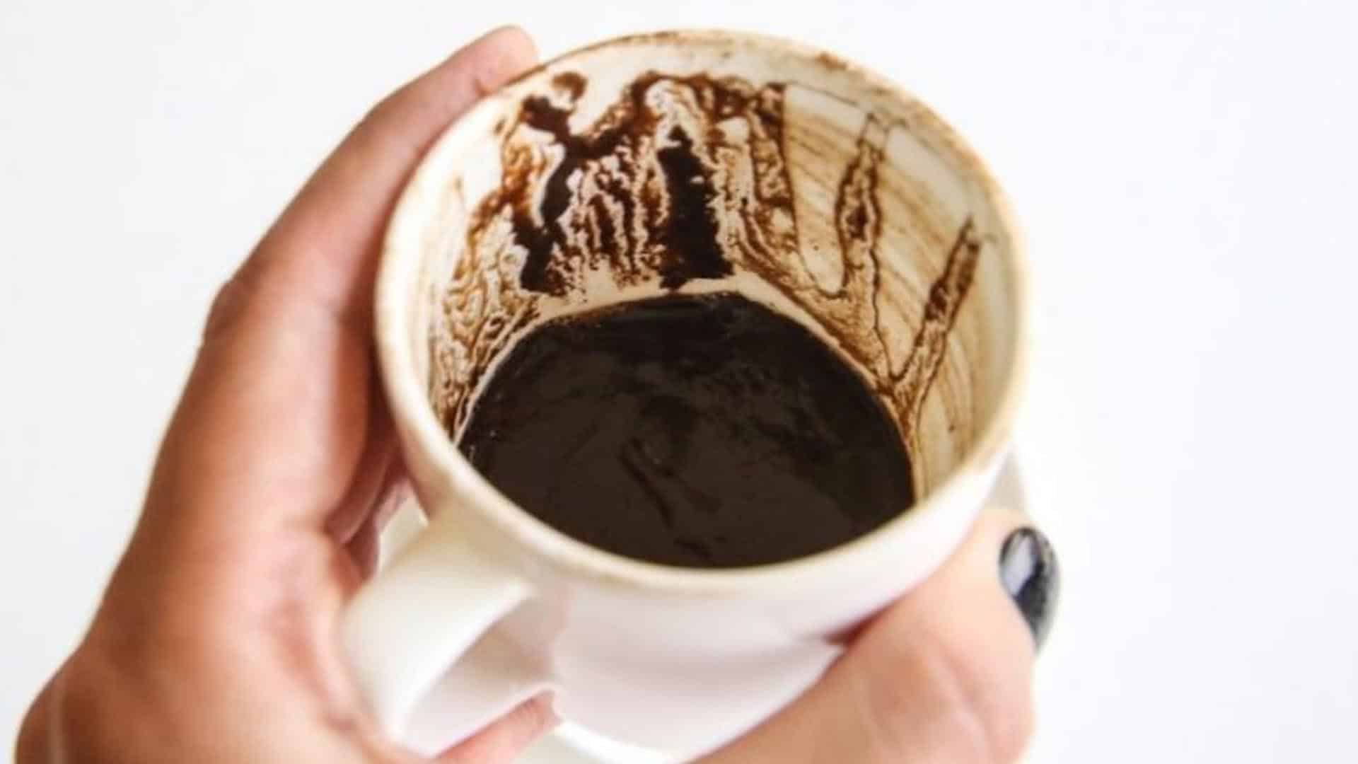 تعبیر و تفسیر الاغ در فال قهوه